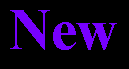 new4.gif (2358 bytes)