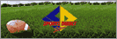 Sports Direct Japan
