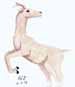 Deer Thumbnail