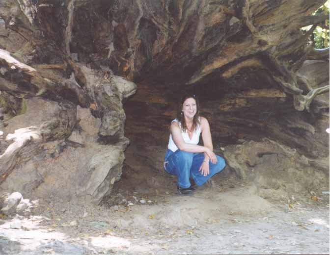 Big Basin, CA 5/01