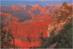 Grand Canyon 2
