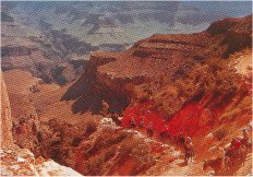Grand Canyon 7