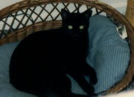 Salem