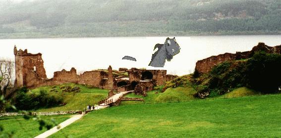 Urquart Castle & Nessie!