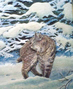 bobcat 17x21 $275.00.jpg (24757 bytes)