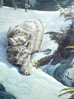 cougarsnow18x22_375.00.jpg (21665 bytes)