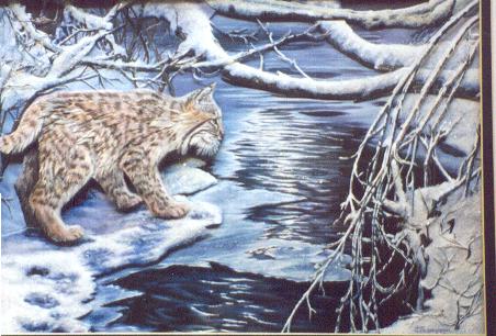 firstwinter15x20_275.jpg (40299 bytes)
