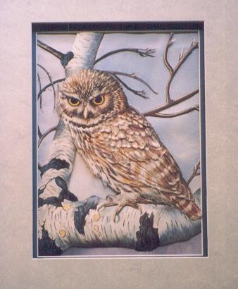 owlbirchbranch19x16_275.jpg (26075 bytes)