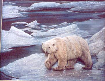 polarbear19x17_275.jpg (24205 bytes)