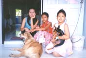 noon+nongs+dogs
