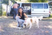 noon+dog at chengmai