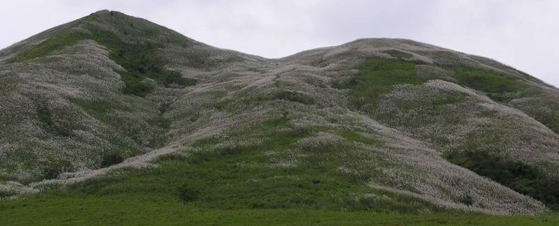 mt. talamitam