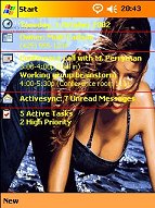 Click on the paypal button under the image to purchase your preferred theme