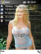 Click on the paypal button under the image to purchase your preferred theme