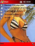 Click on the paypal button under the image to purchase your preferred theme
