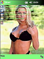 Click on the paypal button under the image to purchase your preferred theme