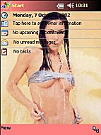 Click on the paypal button under the image to purchase your preferred theme