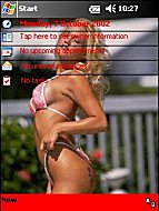 Click on the paypal button under the image to purchase your preferred theme