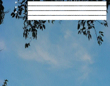 Click on this image to download and install free Incredimail stationery....... If you would like this stationery personalised with your own details...please click the PayPal button and include your personal details you wish to have on the email stationery.