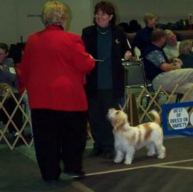 GoGo wins breed