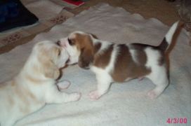 Play Time