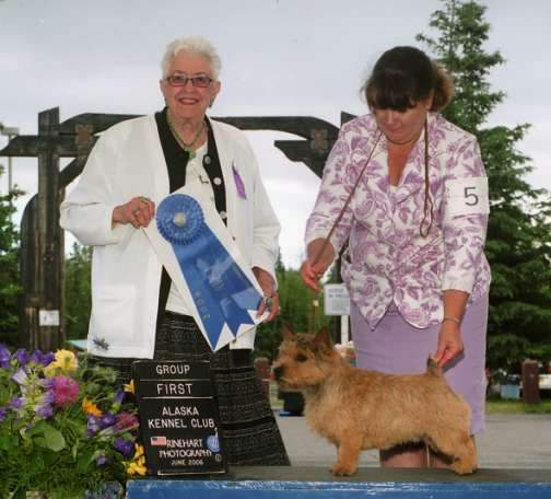 Dash Group 1 June 2006