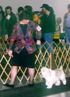 strutting