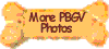 More PBGV Photos