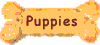 Puppies