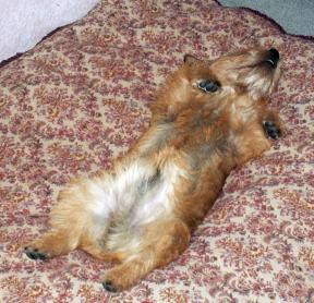 Relaxed