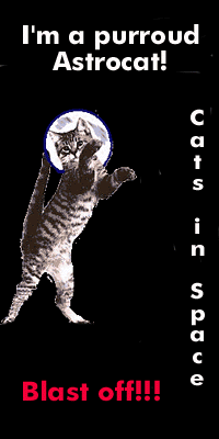 Astrocat