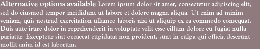 Alternative options available Lorem ipsum dolor sit amet, consectetur adipiscing elit, sed do eiusmod tempor incididunt ut labore et dolore magna aliqua. Ut enim ad minim veniam, quis nostrud exercitation ullamco laboris nisi ut aliquip ex ea commodo consequat. Duis aute irure dolor in reprehenderit in voluptate velit esse cillum dolore eu fugiat nulla pariatur. Excepteur sint occaecat cupidatat non proident, sunt in culpa qui officia deserunt mollit anim id est laborum.