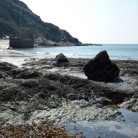 photo_four