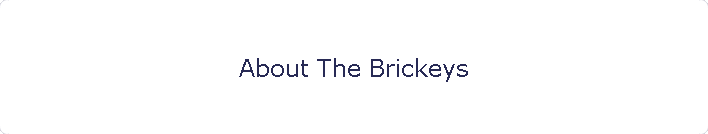 About The Brickeys