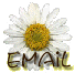 email us!