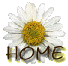 back to homepage