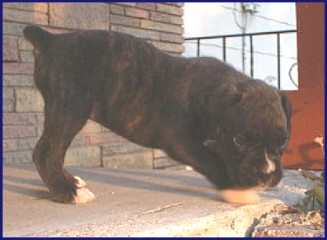 June 30, 2002