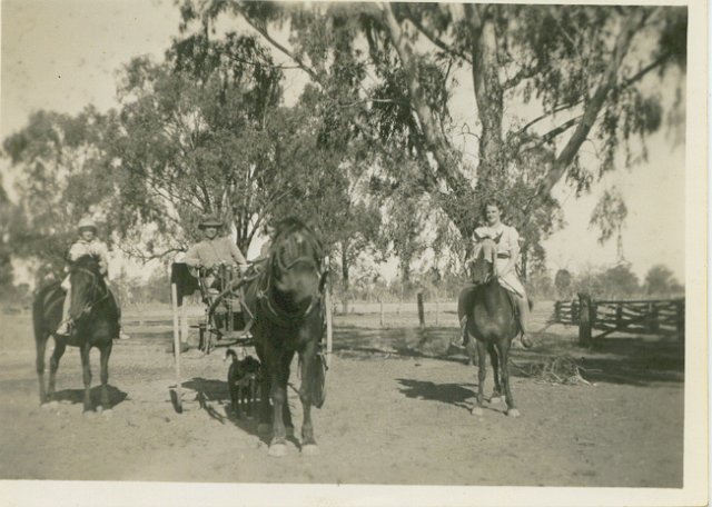 Photograph