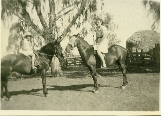 Photograph