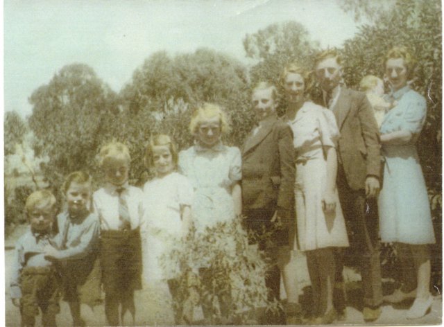 Photograph