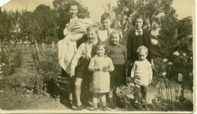 Photograph