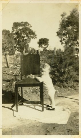Photograph