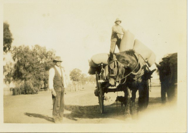 Photograph