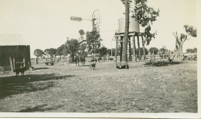 Photograph