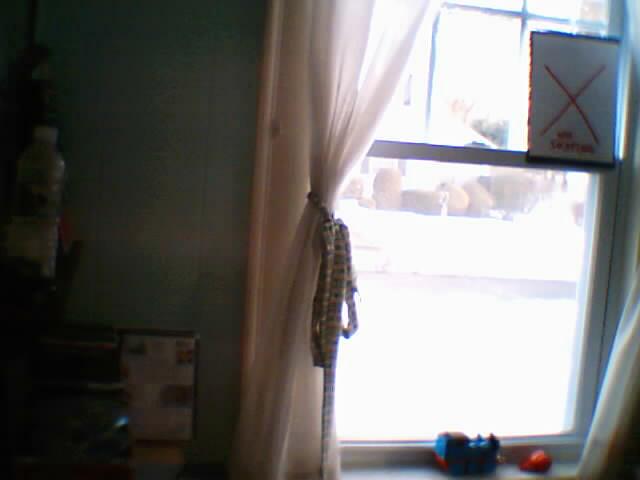 rinkcam.jpg (21910 bytes)