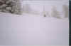 ski91b.jpg (27851 bytes)