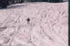 ski92d.jpg (62085 bytes)