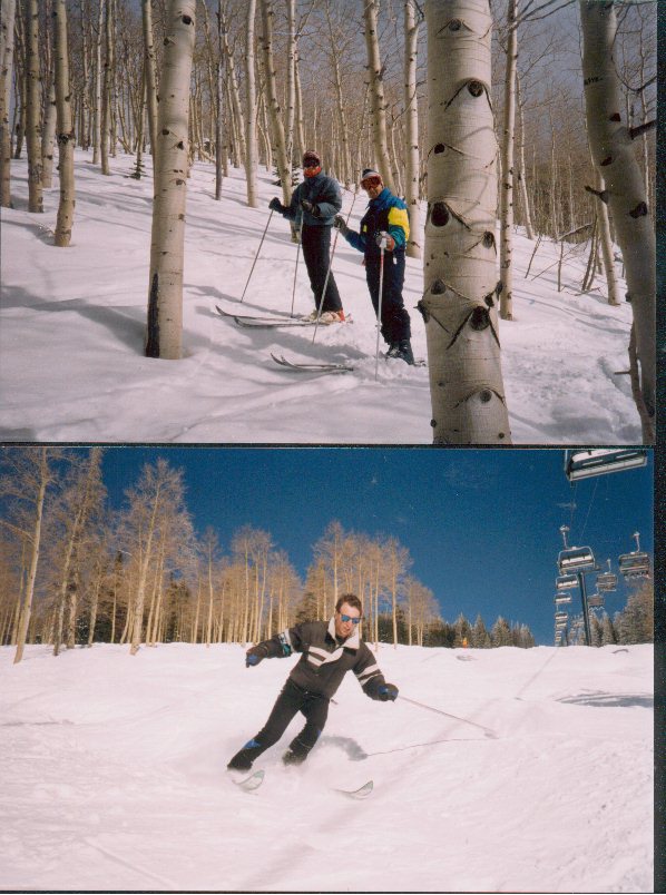 ski94.jpg (115912 bytes)