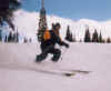 ski99mark.jpg (35905 bytes)