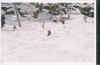 ski00jon.jpg (56064 bytes)